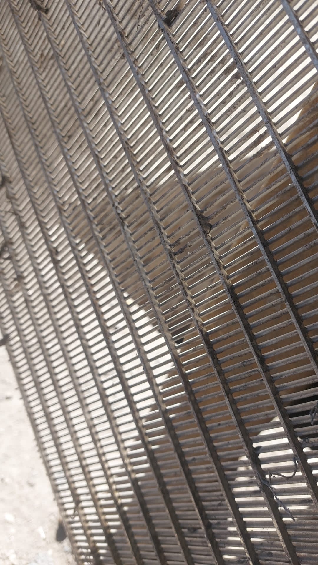wedge wire